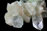 Zoned Apophyllite Crystals With Stilbite - India #72090-2